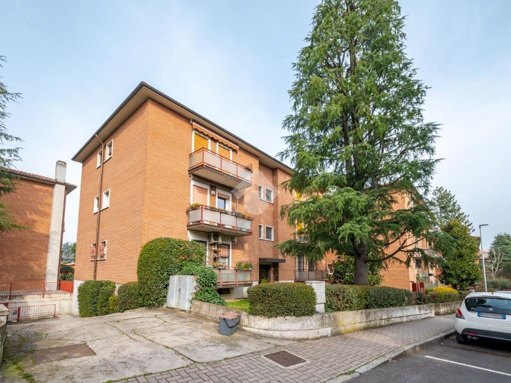 Quadrilocale Via Dante, Zola Predosa - foto 1