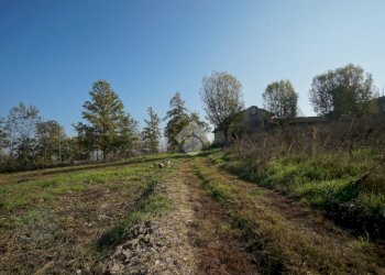 Terreno edificabile Strada San Pietro, Nizza Monferrato - foto 3