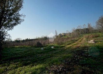 Terreno edificabile Strada San Pietro, Nizza Monferrato - foto 4