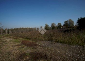 Terreno edificabile Strada San Pietro, Nizza Monferrato - foto 5