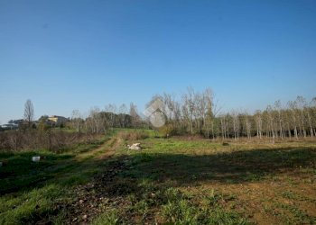 Terreno edificabile Strada San Pietro, Nizza Monferrato - foto 13