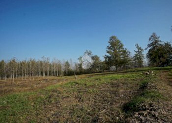 Terreno edificabile Strada San Pietro, Nizza Monferrato - foto 17