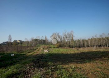 Terreno edificabile Strada San Pietro, Nizza Monferrato - foto 20