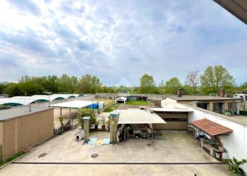 Villa Via pianezza, Torino (zona Lucento) - foto 7