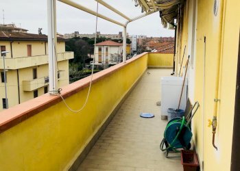 Foto 11 - Appartamento Pisa - foto 11