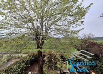 Foto 21 - Casa semi indipendente Via del Padule, Scandicci - foto 21