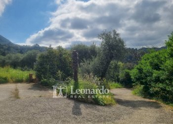 Foto 3 - Casa indipendente via delle Mura, Camaiore - foto 3
