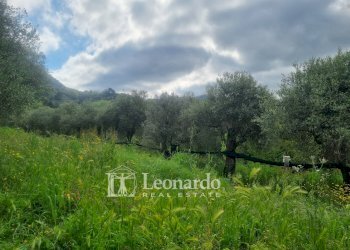 Foto 20 - Casa indipendente via delle Mura, Camaiore - foto 20