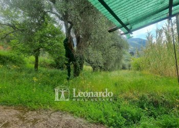 Foto 21 - Casa indipendente via delle Mura, Camaiore - foto 21