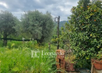 Foto 26 - Casa indipendente via delle Mura, Camaiore - foto 26