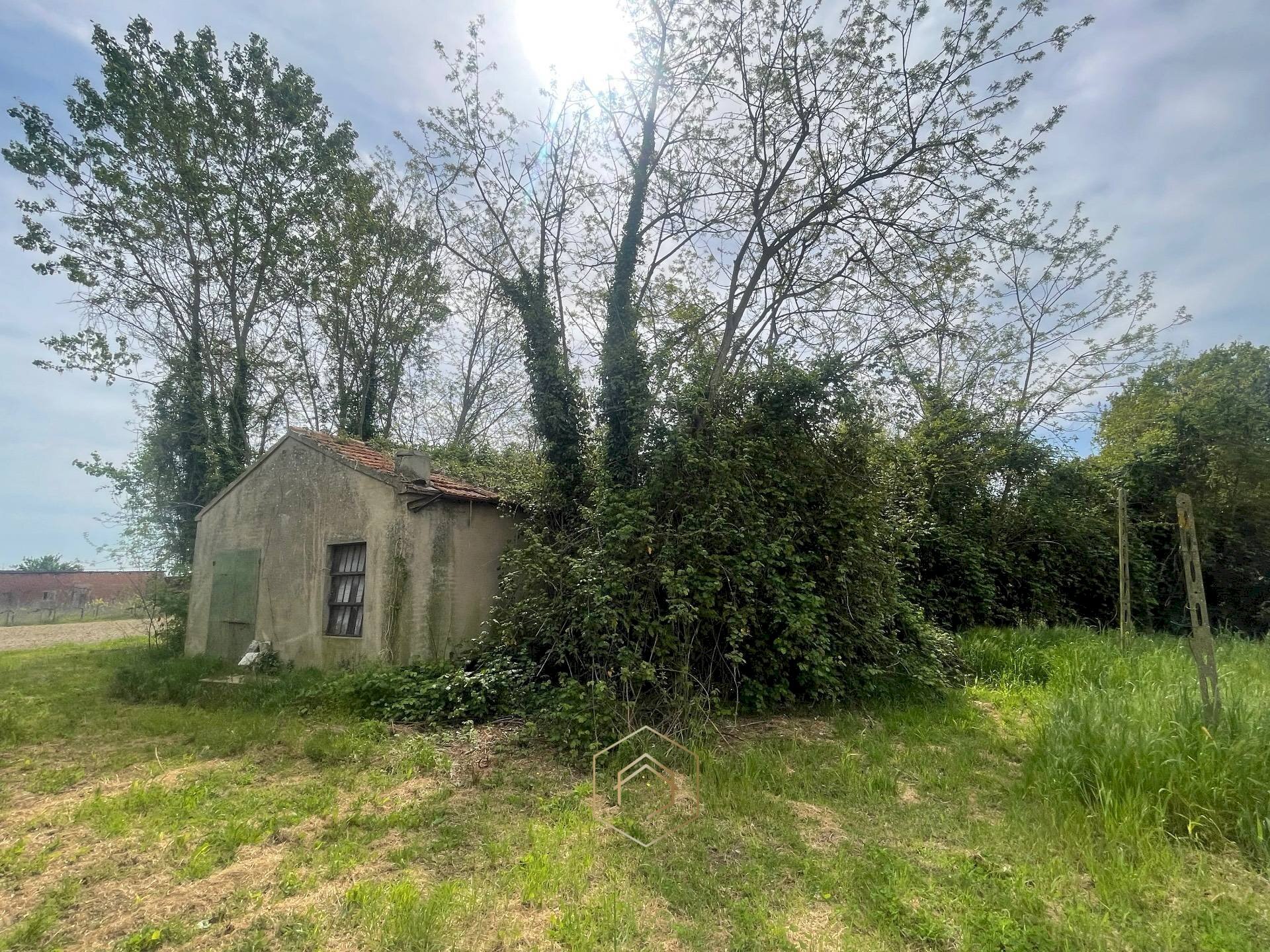 Foto 3 - Casa indipendente Via barchessa, Riva del Po - foto 3