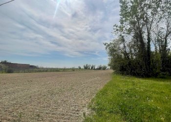 Foto 5 - Casa indipendente Via barchessa, Riva del Po - foto 5