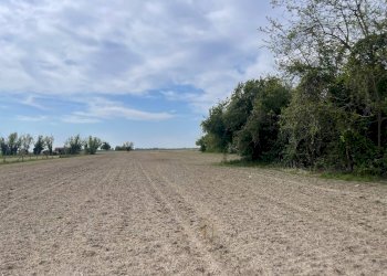 Foto 7 - Casa indipendente Via barchessa, Riva del Po - foto 7