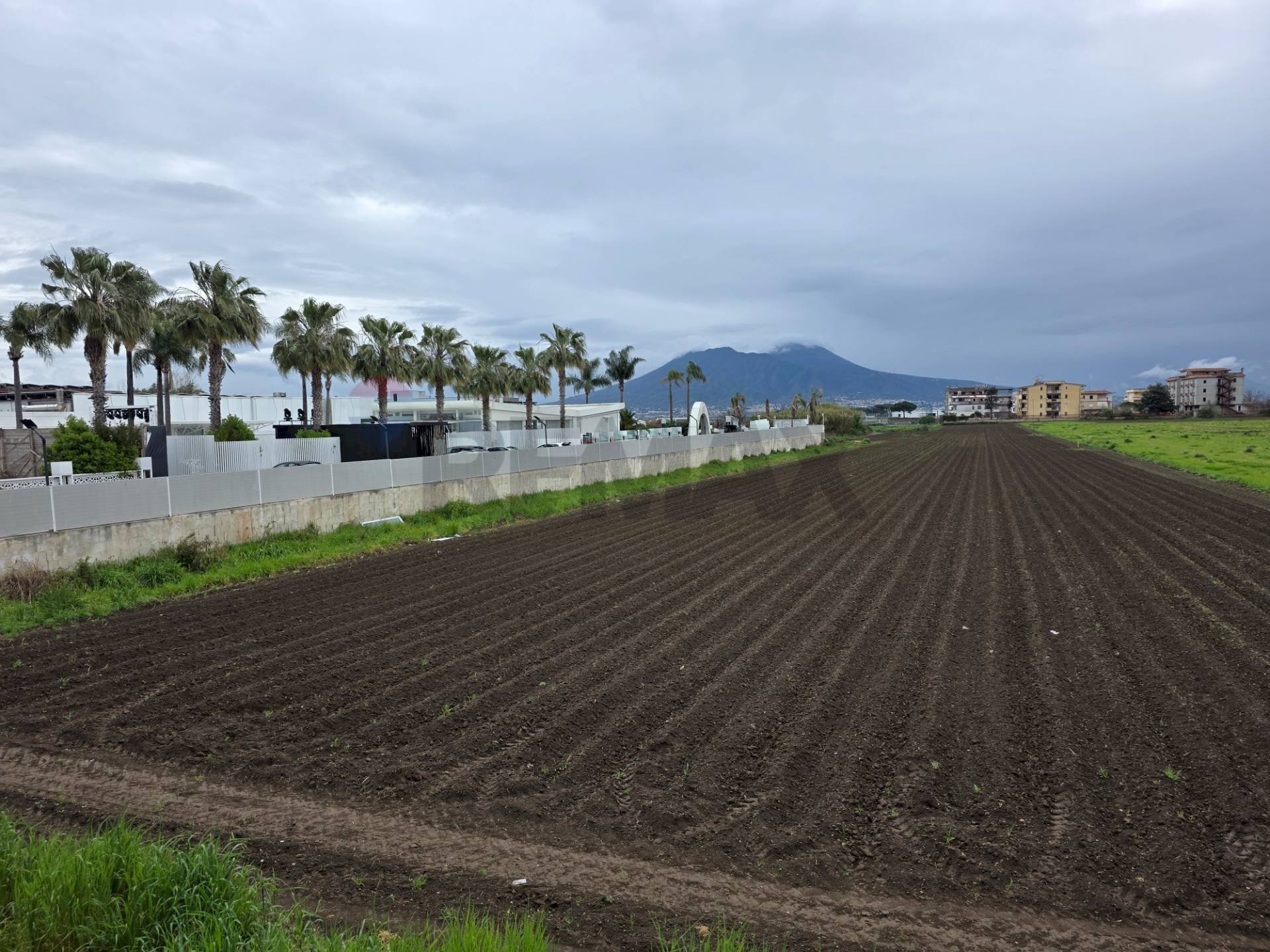 Vista delle montagne - Terreno agricolo Via E. A. Mario, Casoria - foto 2
