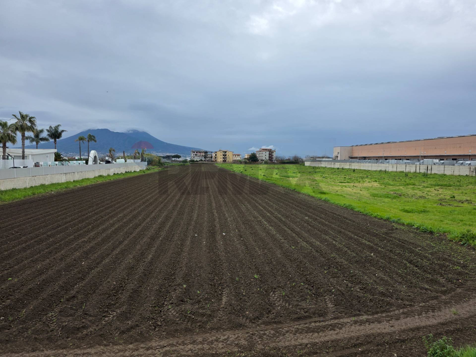 Vista delle montagne - Terreno agricolo Via E. A. Mario, Casoria - foto 3
