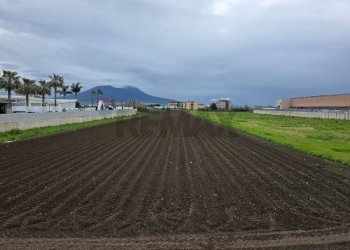 Vista delle montagne - Terreno agricolo Via E. A. Mario, Casoria - foto 1