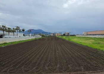 Vista delle montagne - Terreno agricolo Via E. A. Mario, Casoria - foto 4