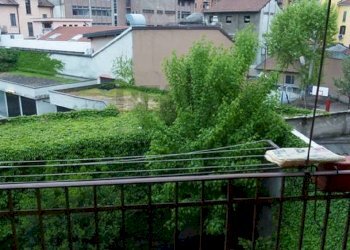 Balcone - Appartamento Via Giulio Belinzaghi
 
6, Milano - foto 10