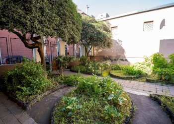 Giardino - Casa semi indipendente via della Carvana
 
13-15, Catania - foto 37