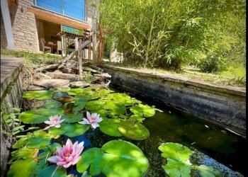 Giardino - Villa Strada Piovero
 
7/A, Cortemilia - foto 35