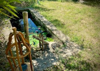 Giardino - Villa Strada Piovero
 
7/A, Cortemilia - foto 37