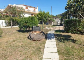 Giardino - Villa viale nuova california
 
48, Ardea - foto 3