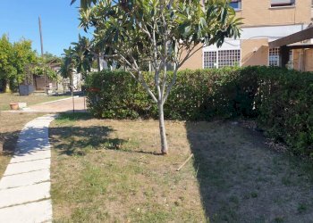 Giardino - Villa viale nuova california
 
48, Ardea - foto 40