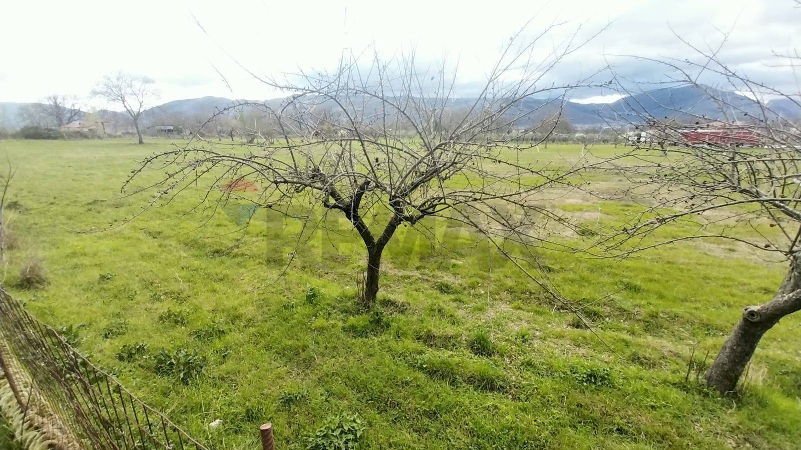 Non correlato - Agricultural land località cerro
 
snc, Padula - photo 1
