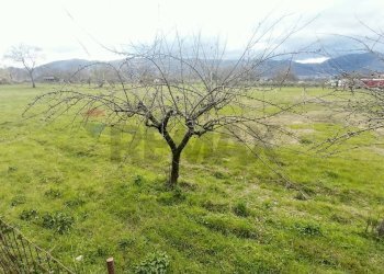Non correlato - Agricultural land località cerro
 
snc, Padula - photo 1