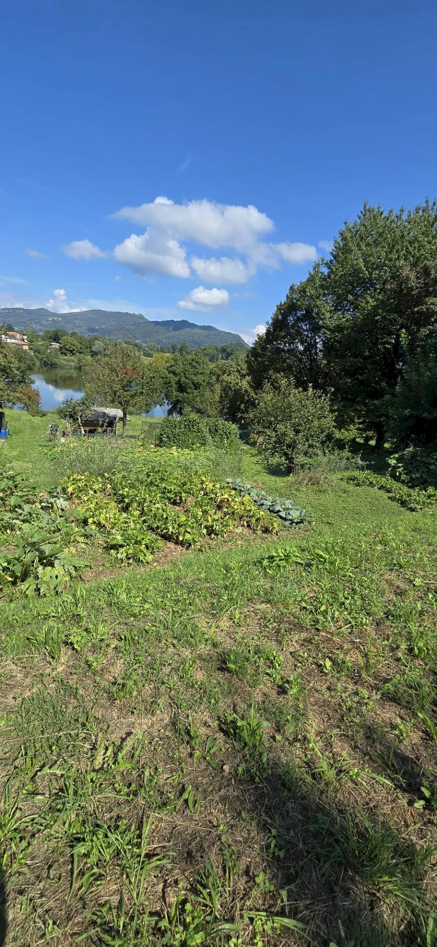 Vista delle montagne - Terreno agricolo VIA AMERIGO VESPUCCI, Merate - foto 2