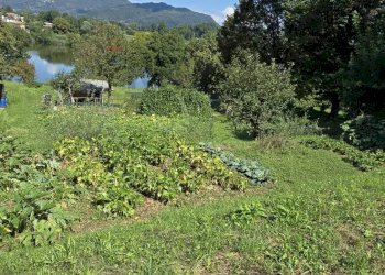 Vista delle montagne - Terreno agricolo VIA AMERIGO VESPUCCI, Merate - foto 5