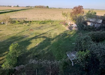 Giardino - Villa Via Madonna, Boschi
 
14, Poggio Renatico - foto 31