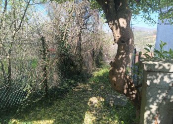 Giardino - Casa indipendente Via Fornace
 
10, Cairo Montenotte - foto 2