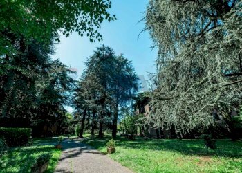 Giardino - Bilocale VIA MARCO POLO
 
2, Bonate Sotto - foto 12