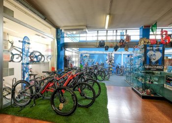 Palestra - Commercial Premises Bergamo - photo 15
