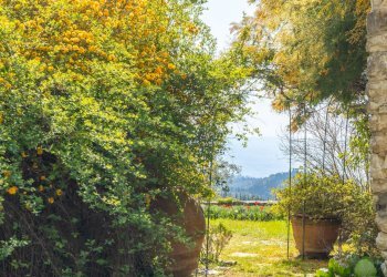 Foto 13 - Villa Via Montefiano
 
6, Fiesole - foto 13