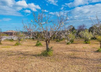 Giardino - Casa indipendente S.V. Crabulazzi
 
62, Sassari - foto 52