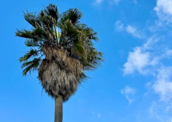 Foto 6 - Casa indipendente via Spani
 
75, Veglie - foto 6