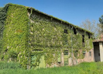 Casa all\'aperto - Rustic Strada Argini Parma
 
241, Parma - photo 7