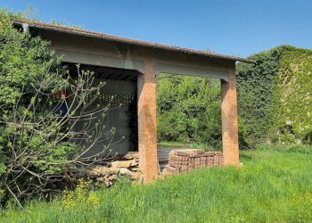 Giardino - Rustic Strada Argini Parma
 
241, Parma - photo 8