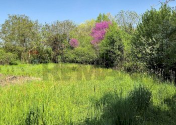 Giardino - Rustic Strada Argini Parma
 
241, Parma - photo 11