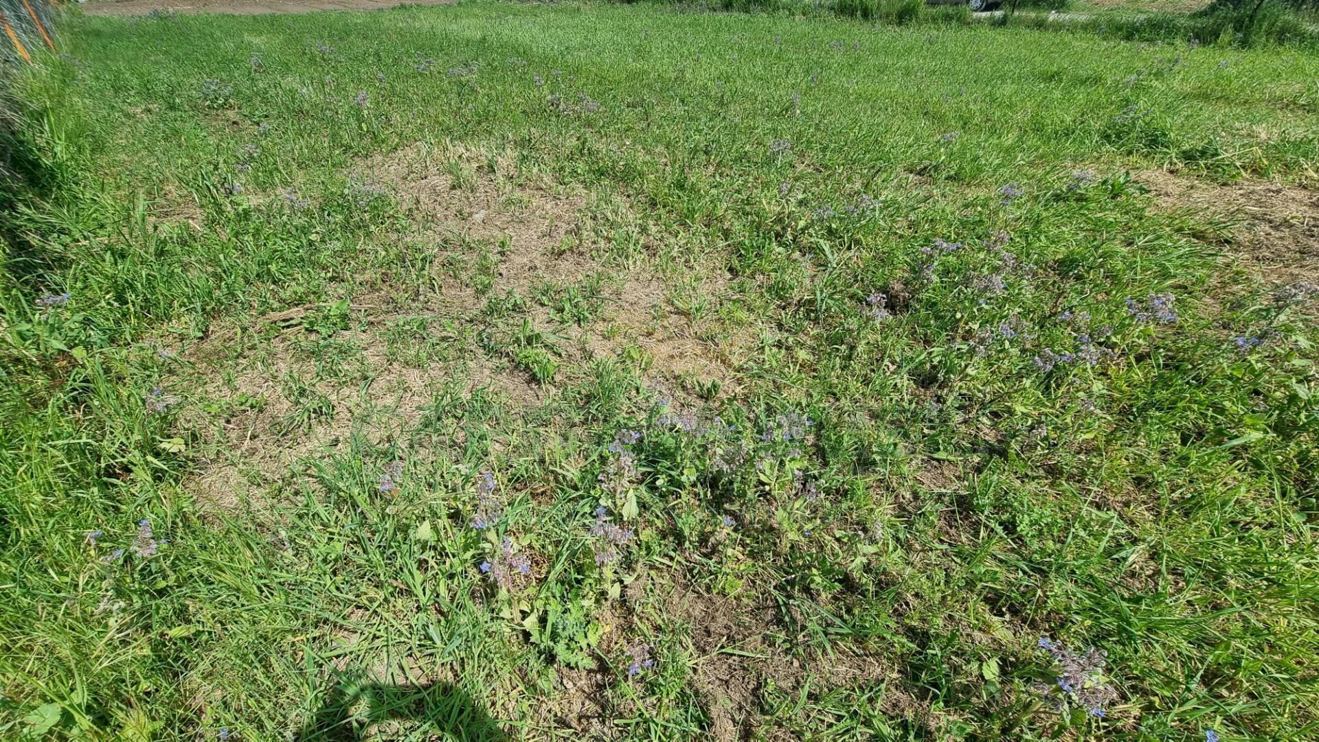 Foto 1 - Terreno edificabile Marcianise - foto 1