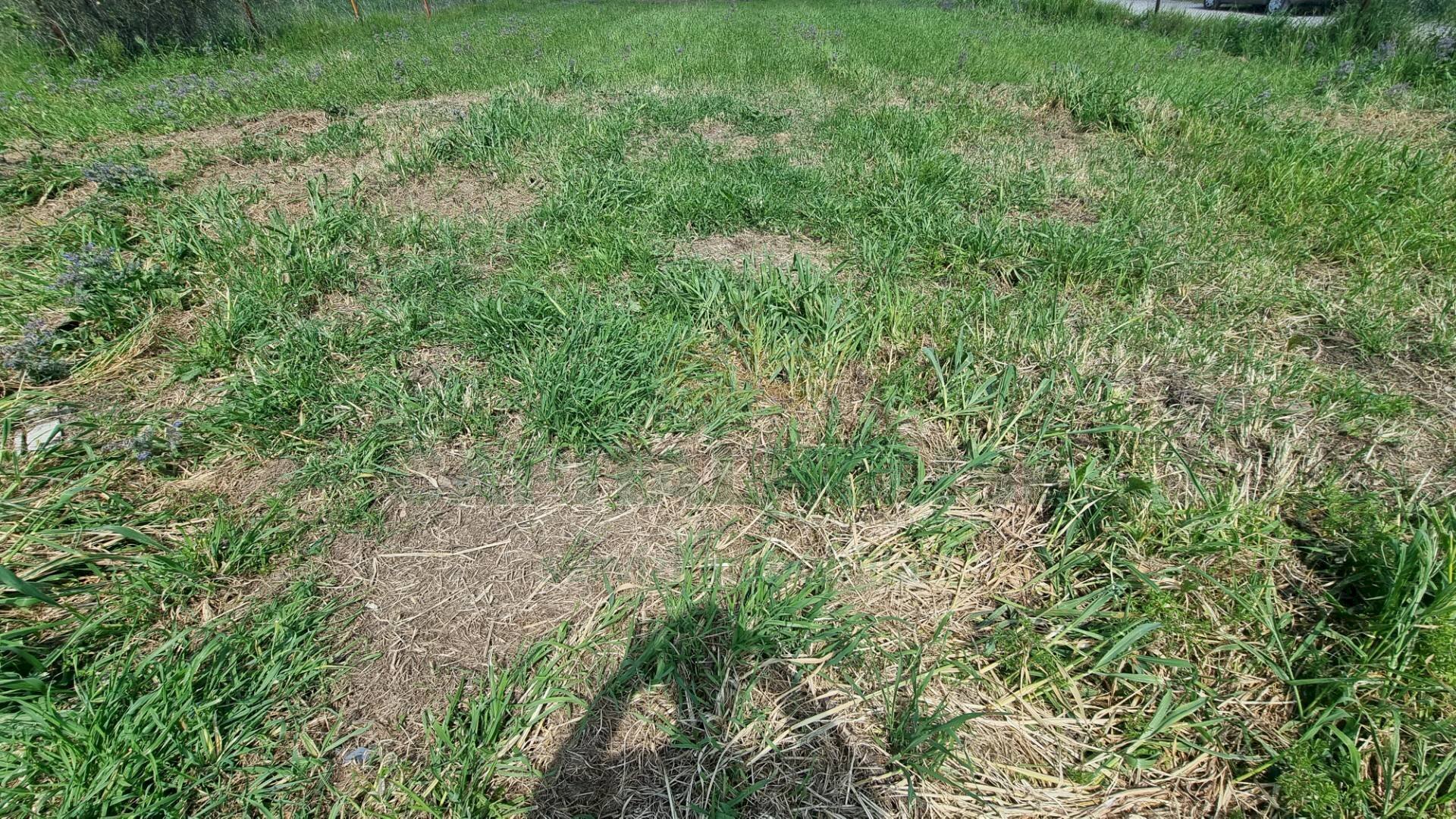 Foto 3 - Terreno edificabile Marcianise - foto 3