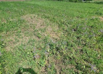 Foto 1 - Terreno edificabile Marcianise - foto 1