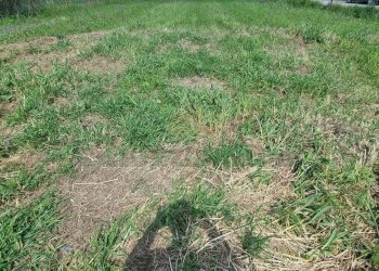 Foto 3 - Terreno edificabile Marcianise - foto 3