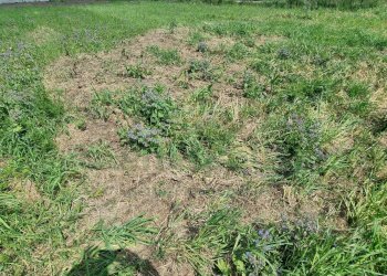 Foto 5 - Terreno edificabile Marcianise - foto 5