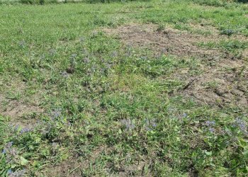 Foto 6 - Terreno edificabile Marcianise - foto 6