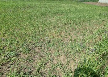 Foto 10 - Terreno edificabile Marcianise - foto 10