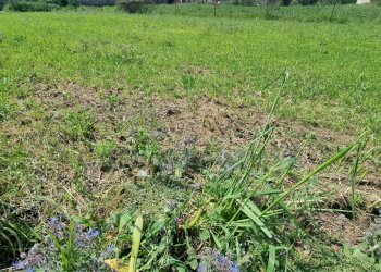 Foto 11 - Terreno edificabile Marcianise - foto 11