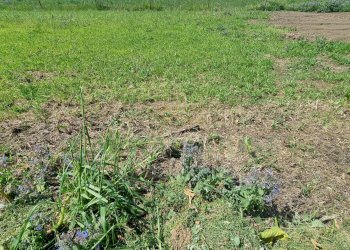 Foto 12 - Terreno edificabile Marcianise - foto 12